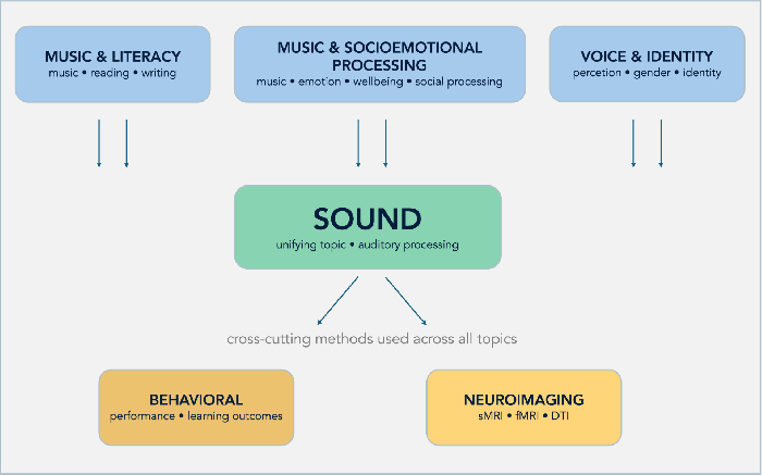 B.Sound Lab | Sound and Brain Research | Marta Martins (PI)